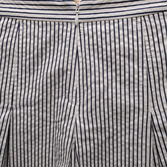 J.Crew Pleated Striped Cotton Skirt Women’s Size 2 Navy White A-Line Knee Length - Picture 6 of 10